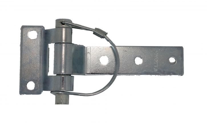 Hinge - 417461.001 - Hinges